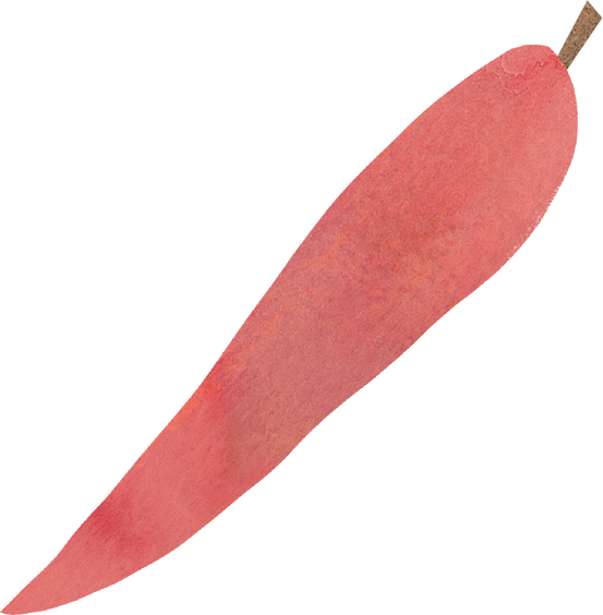 Rough Organic Chili