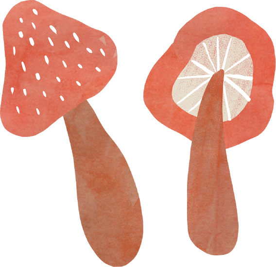 Rough Organic Mushroom