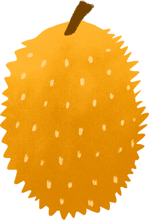 Textured Imperfect Handdrawn Durian