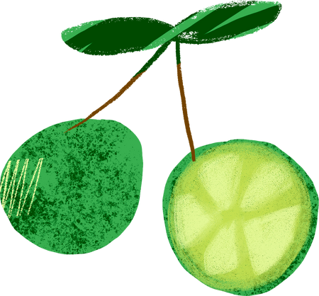 Textured Imperfect Handdrawn Calamansi