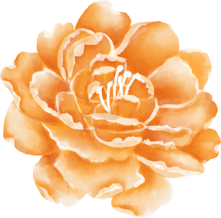 Watercolor Individual Orange Flower