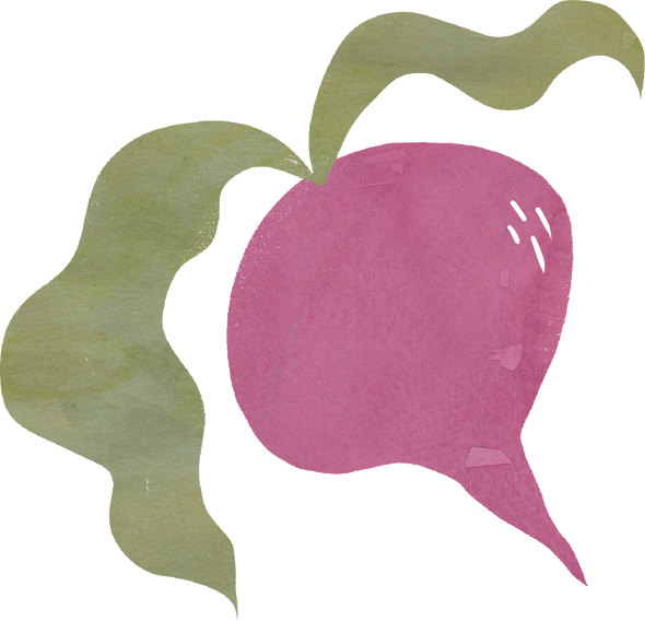 Rough Organic Radish