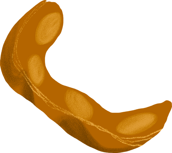 Textured Imperfect Handdrawn Tamarind