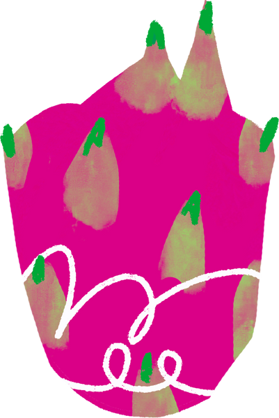 Textured Imperfect Handdrawn Dragon Fruit